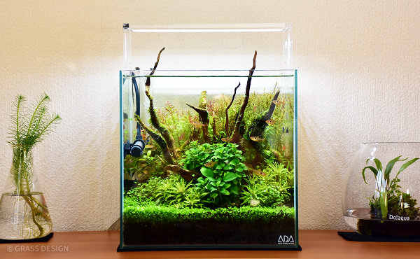 ADA キューブガーデン ADA キューブガーデン ada キューブガーデン 90