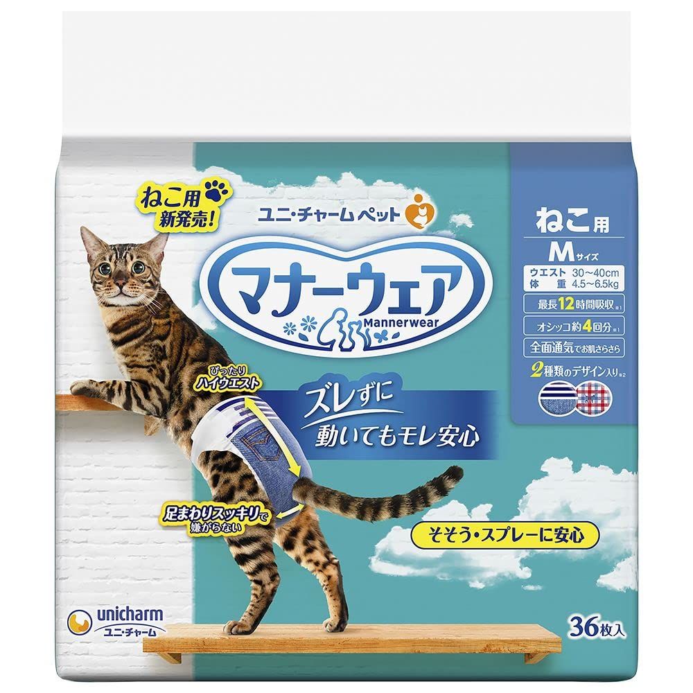 希少】白石麻衣 ボード セシルマグビー POP アイドル 推し活 グッズ 広告