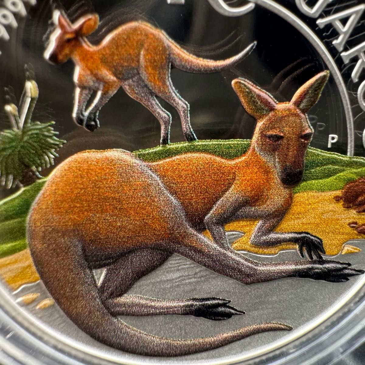 銀貨 ダブルカンガルー ハイレリーフ 凹型 極厚銀貨 カラー プルーフ