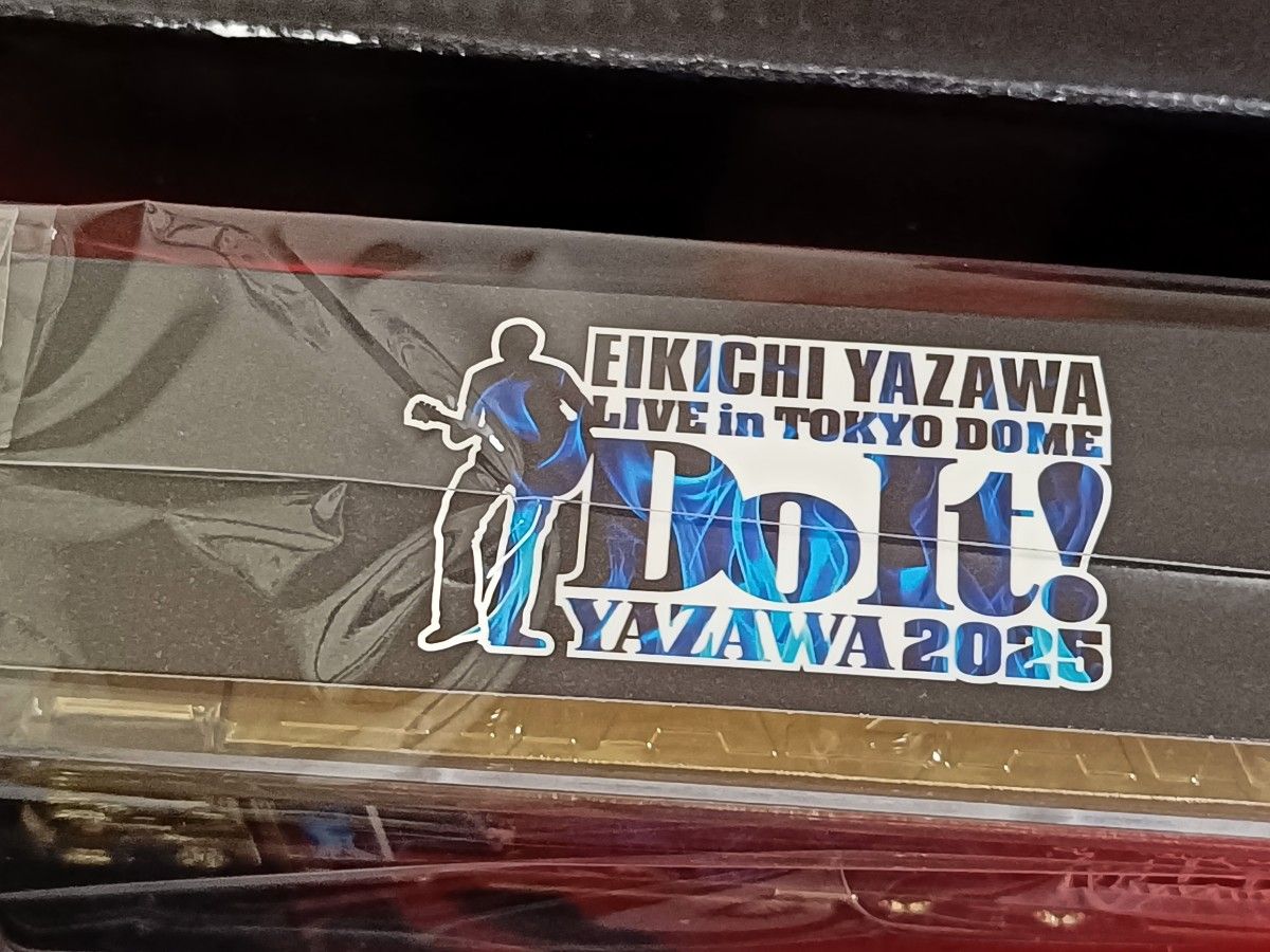 矢沢永吉 ドーム限定品 SBT トランポ ポージング！2dayチケット 新聞