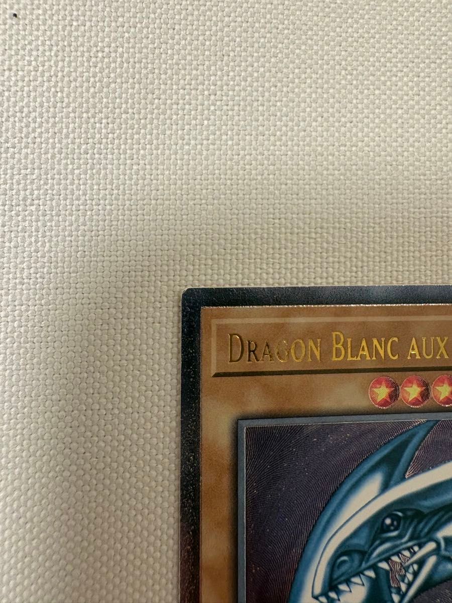 遊戯王 青眼の白龍 ブルーアイズホワイトドラゴン レリーフ 海外