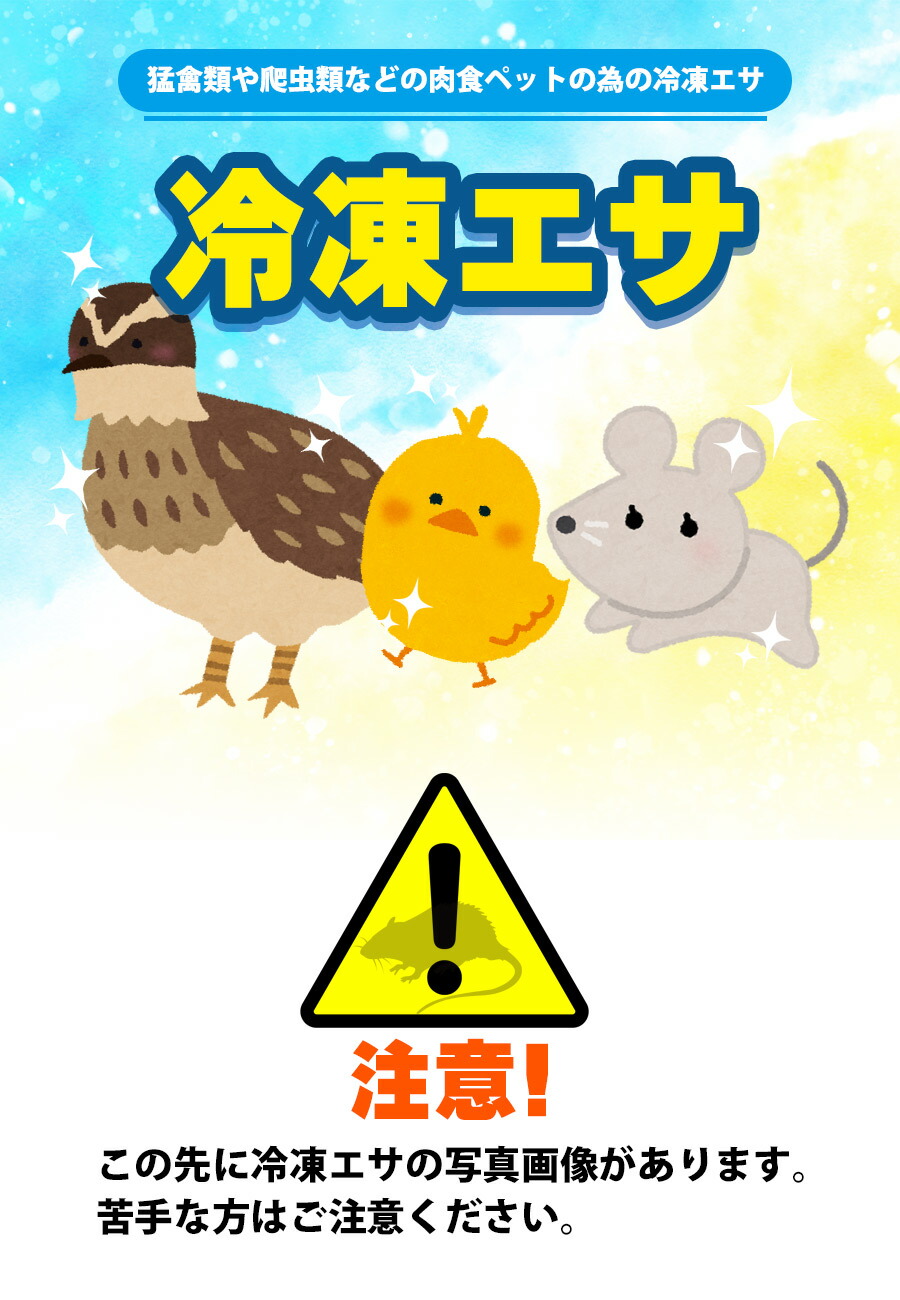 冷凍】 冷凍マウス アダルトMサイズ（約22g）10匹パック（T2）【クール