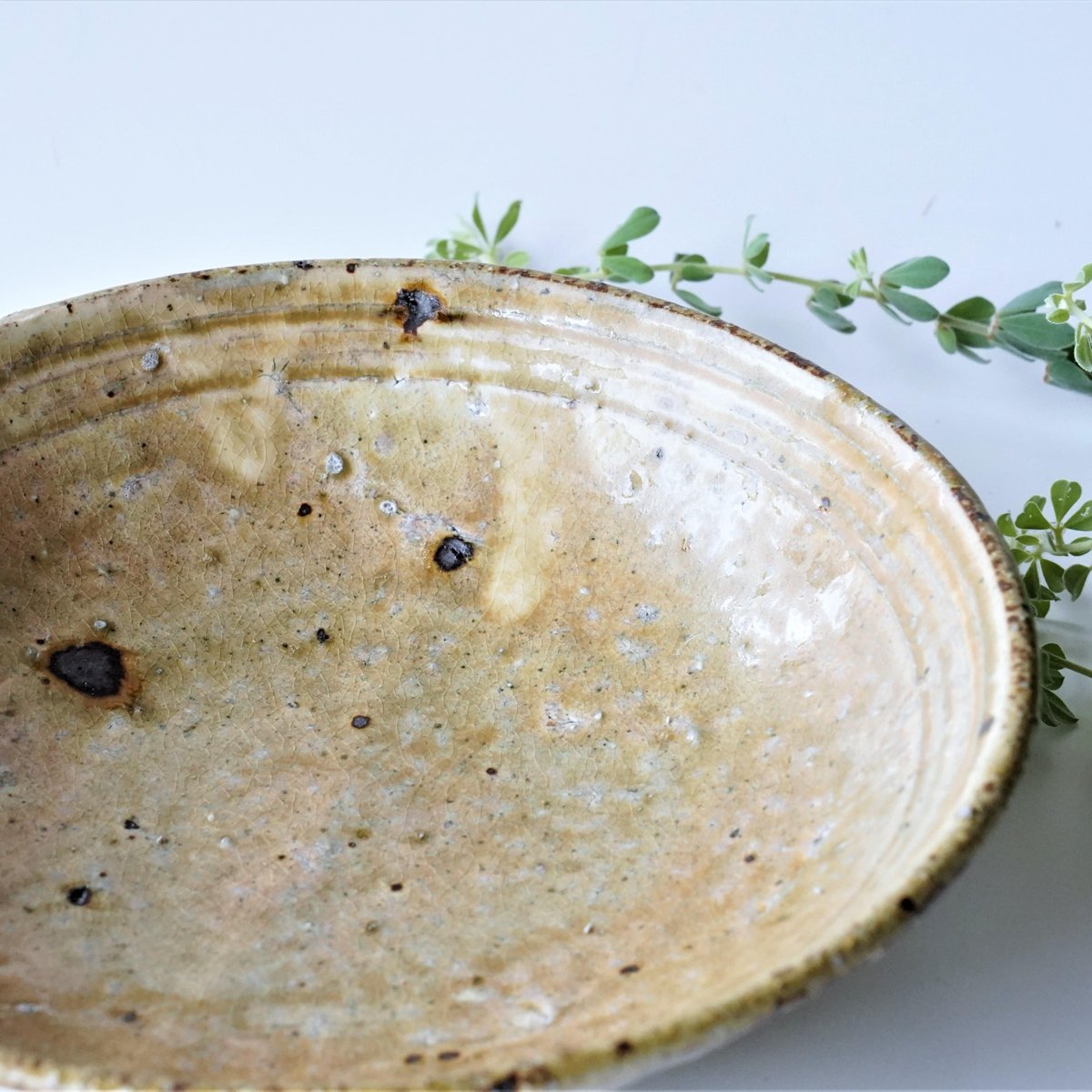 黄瀬戸、竹文中皿5枚 黄瀬戸、竹文中皿5枚 黄瀬戸、