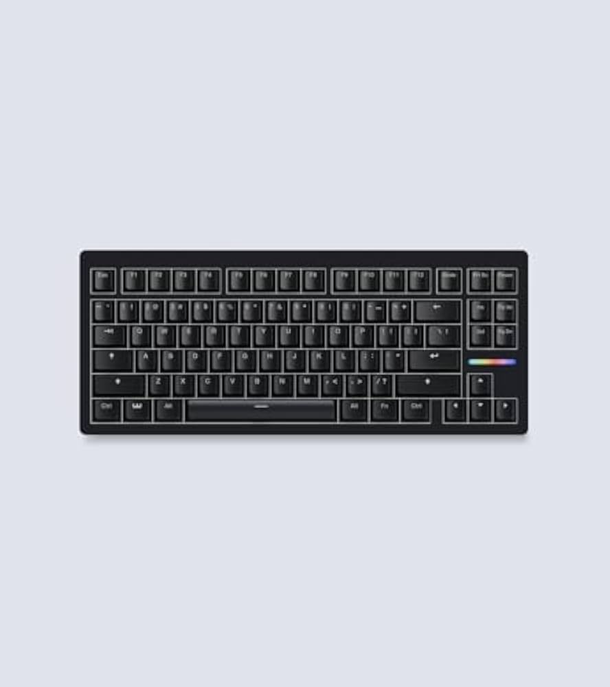 Amazon | Wooting 80HE Linear60 v2 英語配列 US-ANSI ラピッド