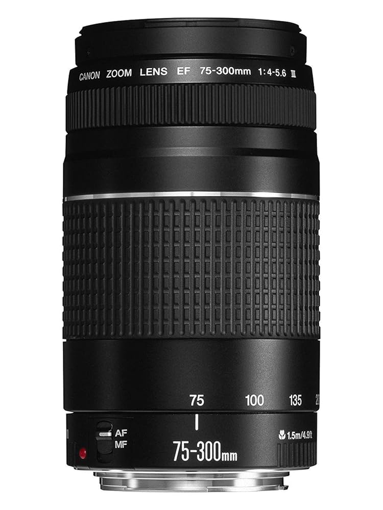 デジタル一眼レフカメラ CANON EF 75-300mm F4-5.6 II デジタル一眼